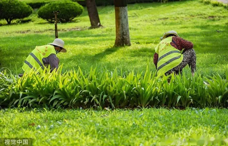 城市景观重塑：从绿化景观色设计出发。